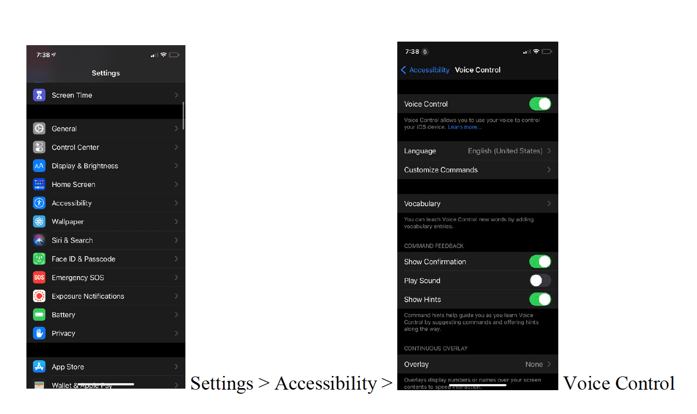 going through accessibility steps 1-3